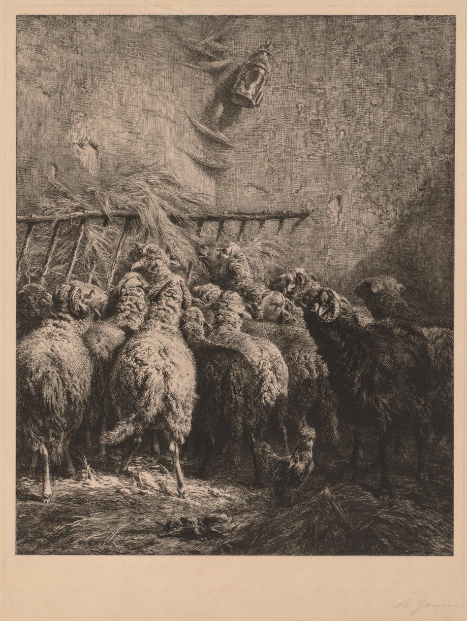 Recinto de ovelhas em Béarn de Charles Emile Jacque