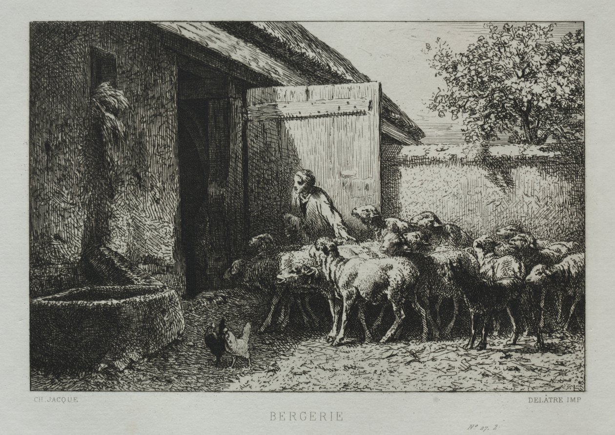 Redil. de Charles Emile Jacque