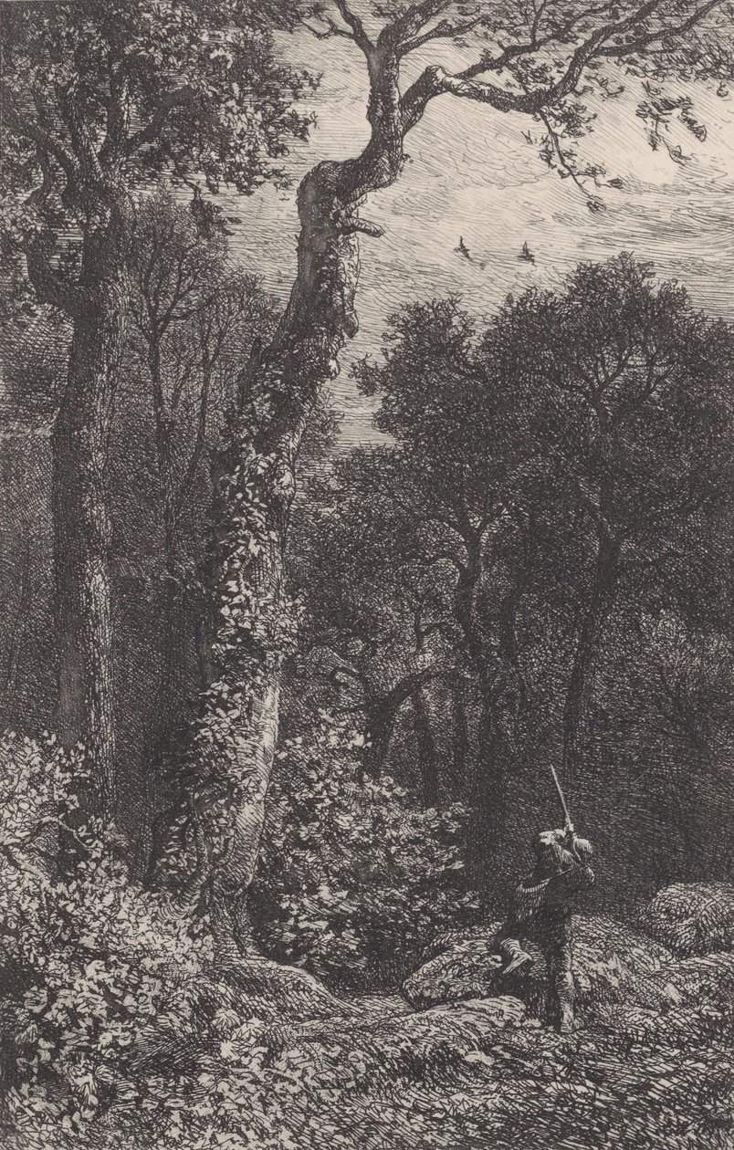 Floresta. de Charles Emile Jacque