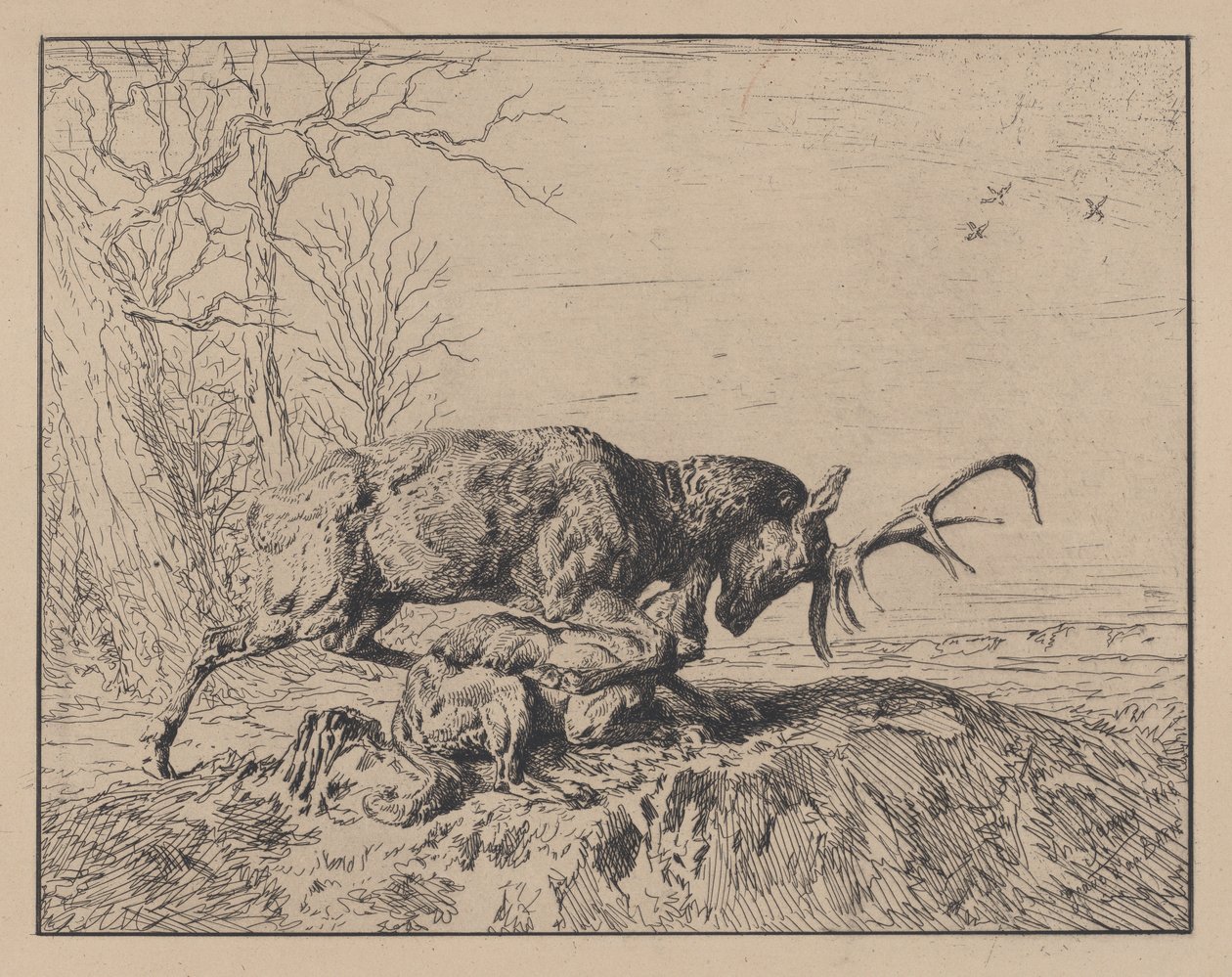 Floresta. de Charles Emile Jacque
