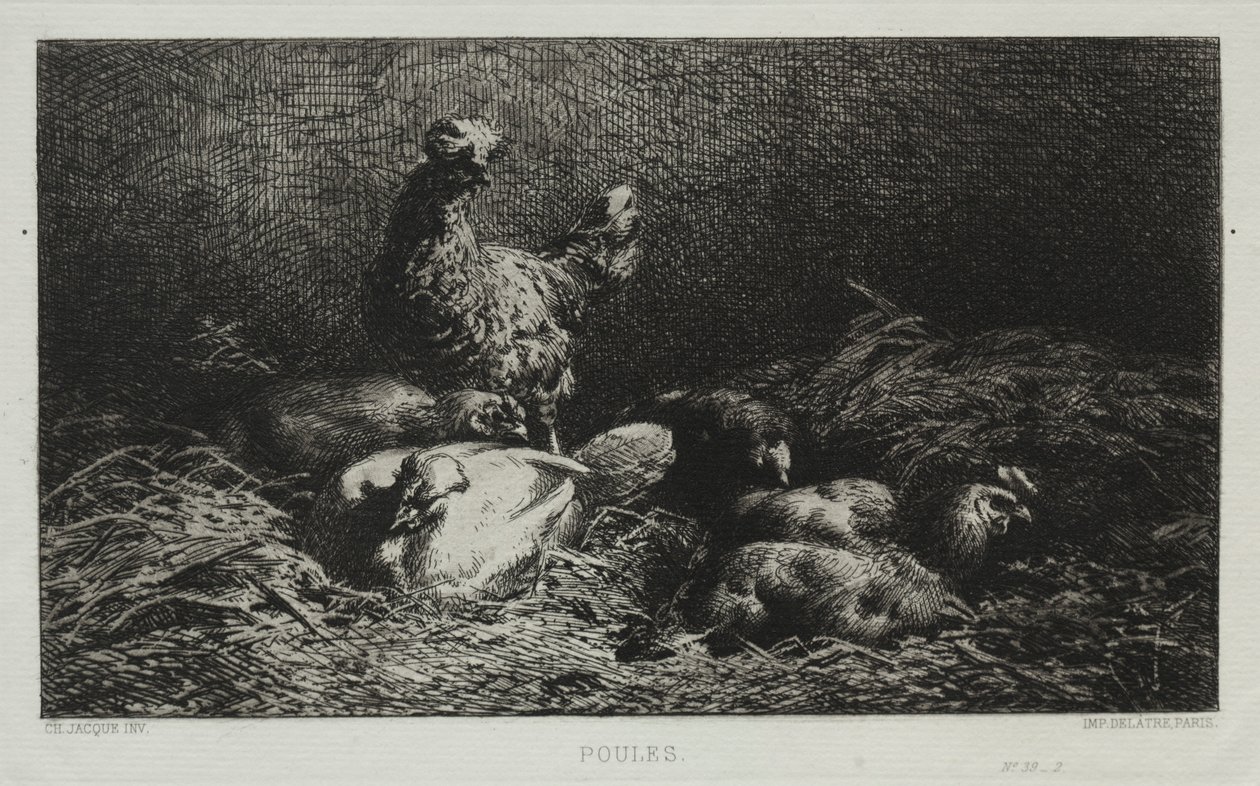 As galinhas. de Charles Emile Jacque