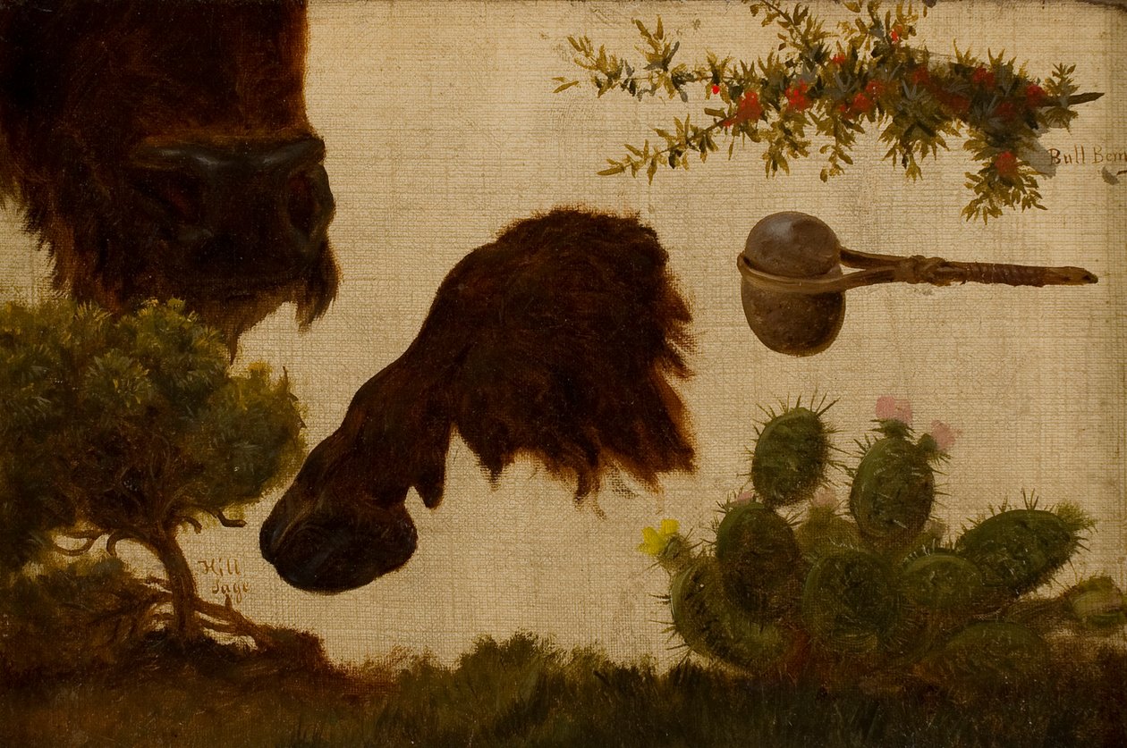 Estudo para “The Wounded Buffalo”: sálvia, cabeça e casco de búfalo, baga de touro, machado de pedra e cacto… de Charles Ferdinand Wimar