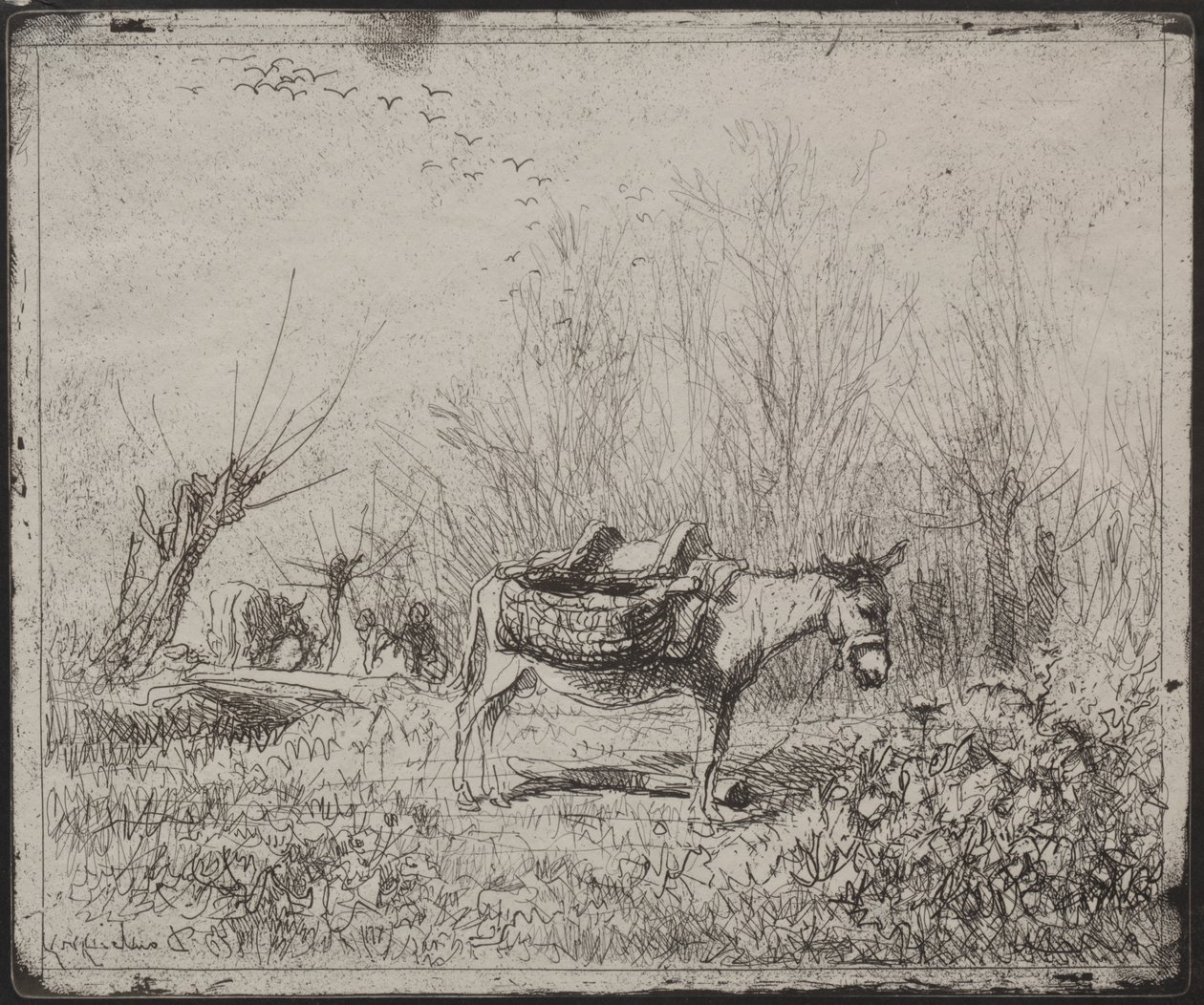 Um burro no campo de Charles Francois Daubigny