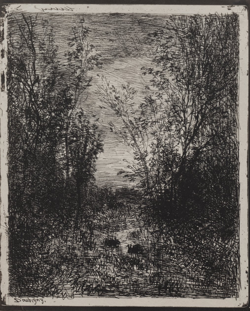 Um córrego em uma clareira de Charles Francois Daubigny