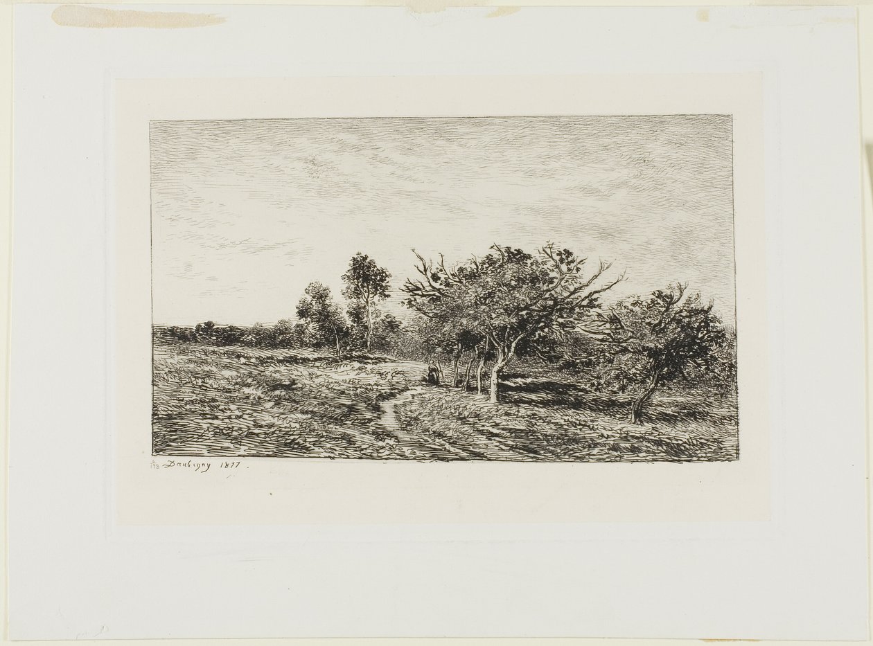 Macieiras em Auvers de Charles Francois Daubigny