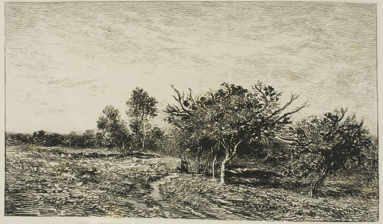 Macieiras em Auvers de Charles Francois Daubigny