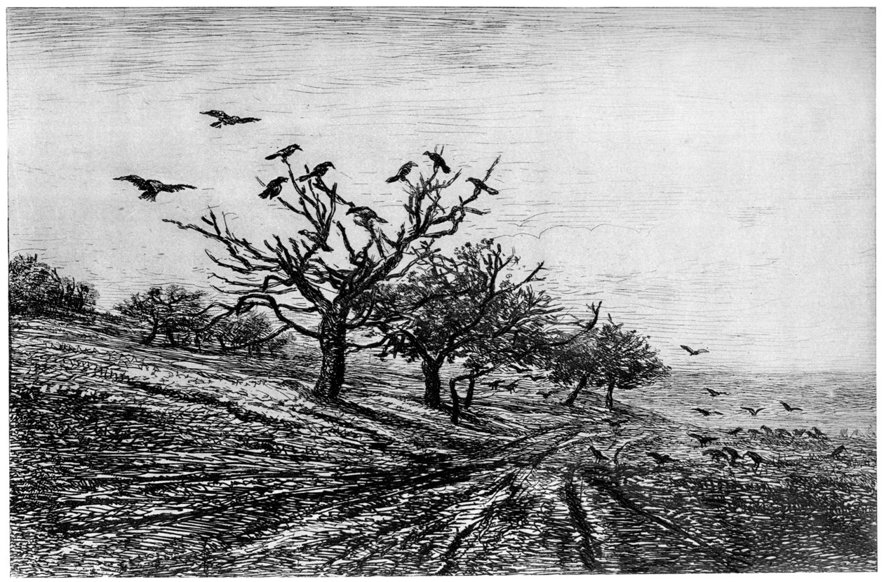 Raven Tree, 1840-1875, 1924 de Charles Francois Daubigny
