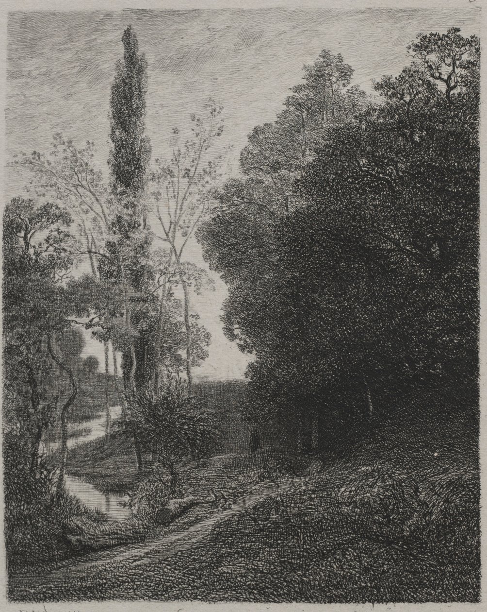 Margens do rio primo, 1850. de Charles Francois Daubigny