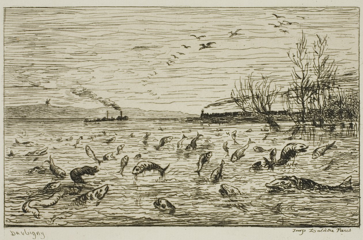 Celebração do peixe na partida do rapaz do navio (O peixe) de Charles Francois Daubigny
