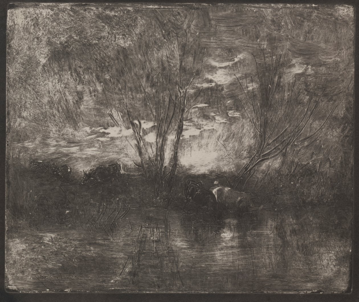Vacas em um local de rega de Charles Francois Daubigny