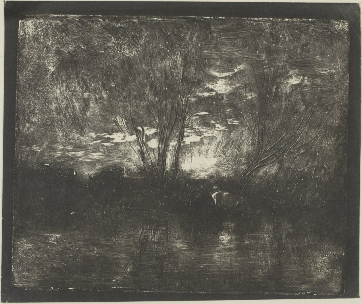 Vacas no local de rega de Charles Francois Daubigny