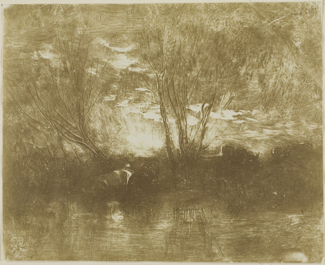 Vacas no local de rega de Charles Francois Daubigny