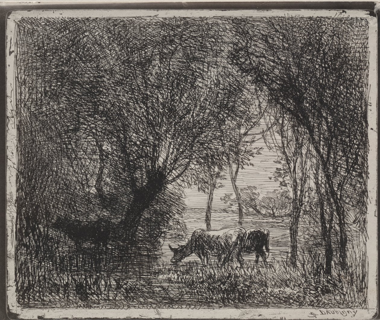 Vacas na floresta de Charles Francois Daubigny