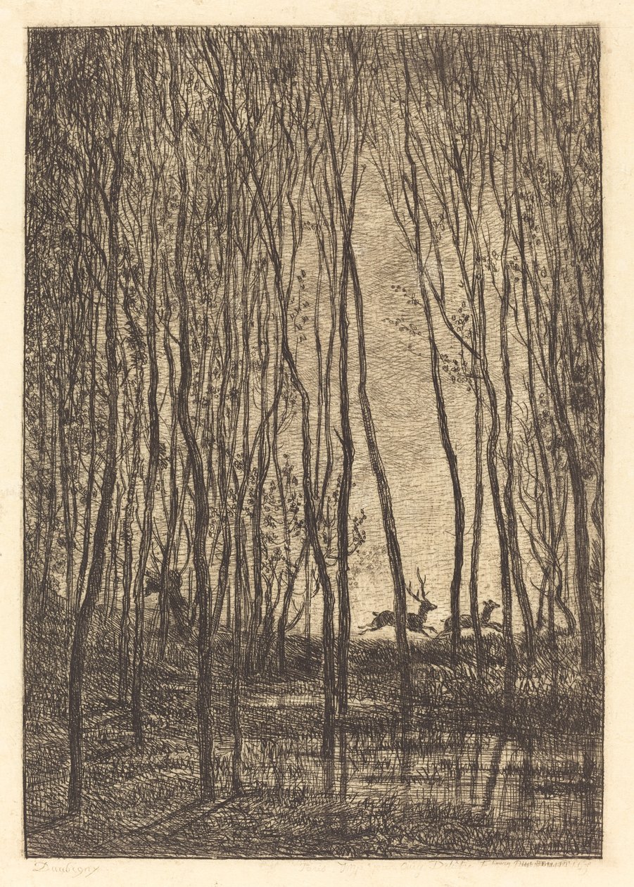 Deer in the Woods (Les Cerfs sous bois) de Charles Francois Daubigny