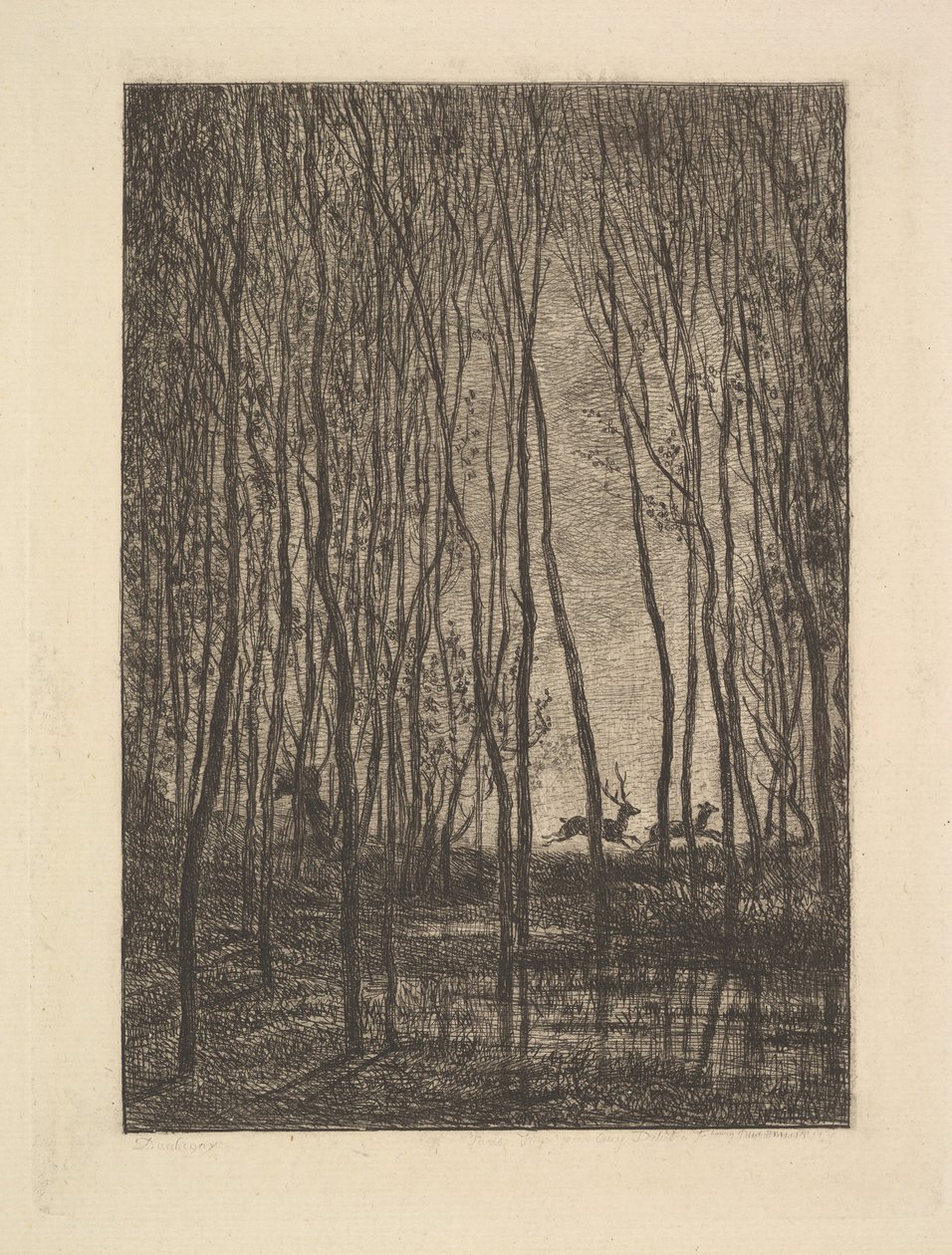 Veado na floresta, 1850. de Charles Francois Daubigny