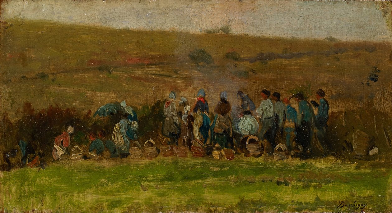 Agricultores Colhendo Batatas (óleo em carvalho) de Charles Francois Daubigny