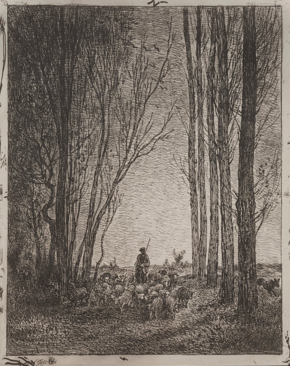 Encontro no rebanho, impressão original em 1862, impressa em 1921. de Charles Francois Daubigny