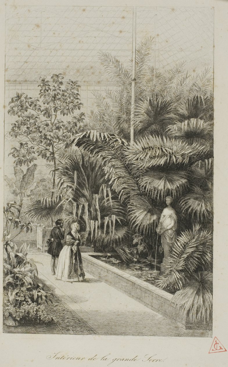 Interior da grande estufa de Charles Francois Daubigny