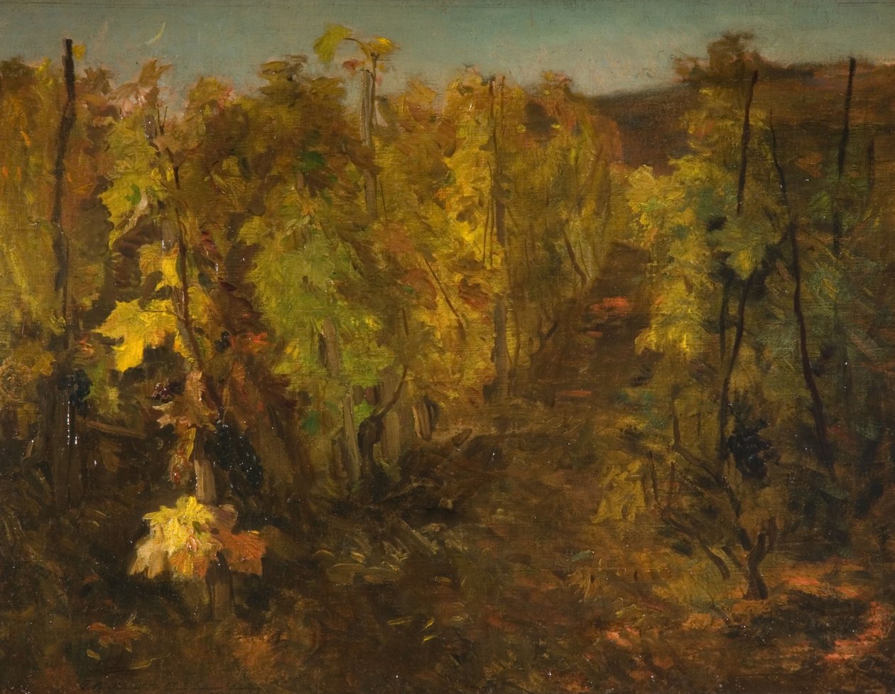 La Vigne, 1860-1863 de Charles Francois Daubigny