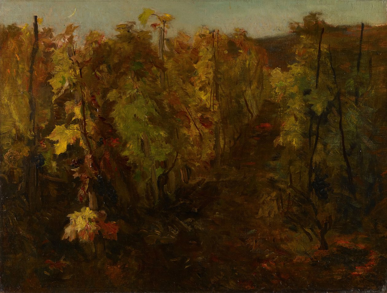 A Vinha, 1860-1863. de Charles Francois Daubigny