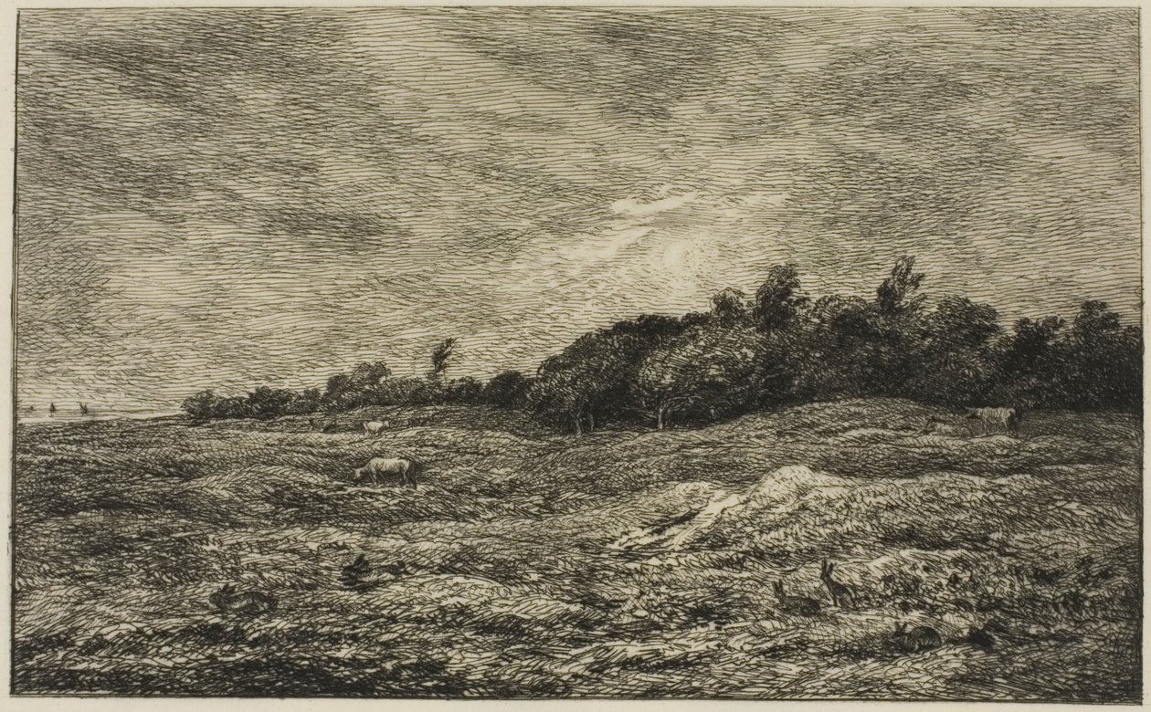 O Pré des Graves em Villerville (Calvados) de Charles Francois Daubigny