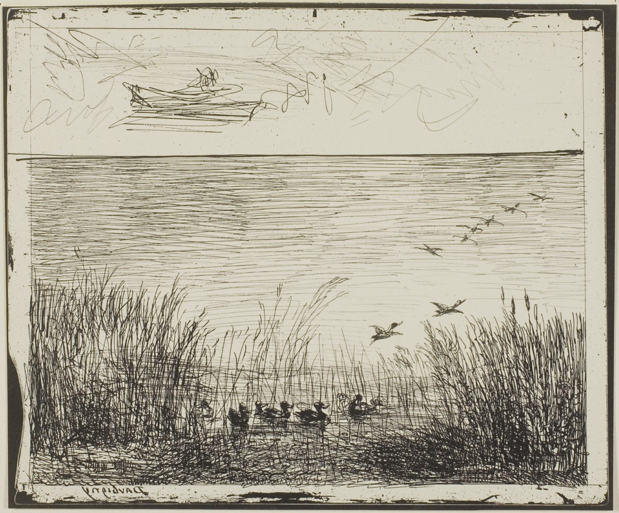 Pântano com Patos de Charles Francois Daubigny