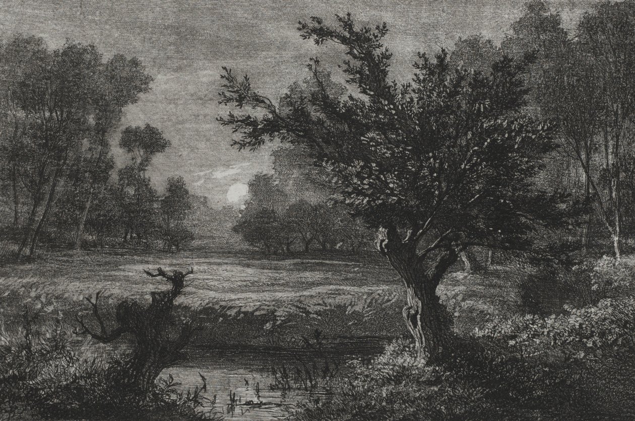 Nascer da lua no vale de Andilly, 1845. de Charles Francois Daubigny