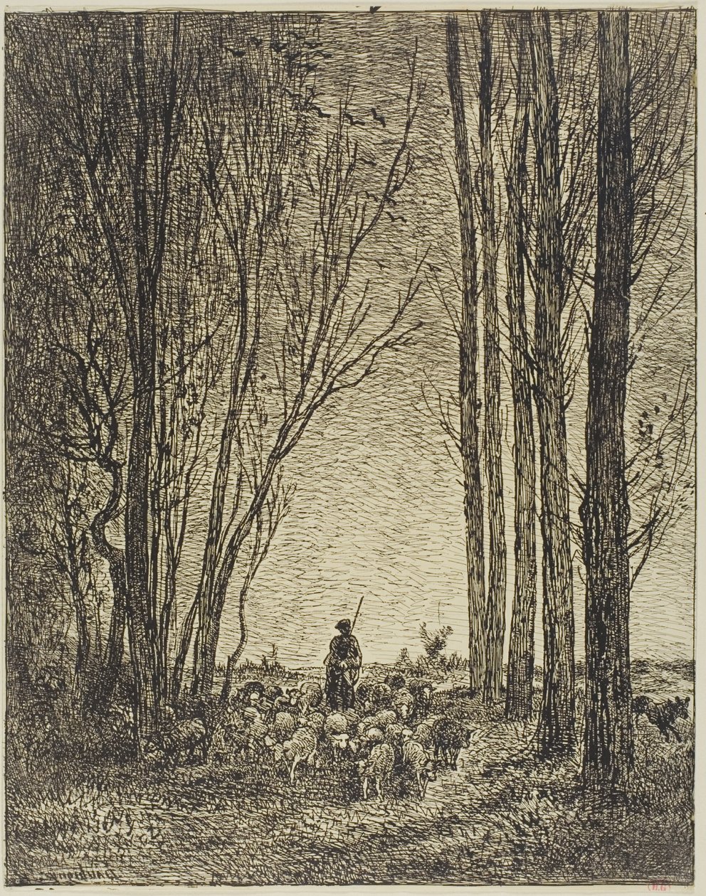 Retorno do rebanho de Charles Francois Daubigny