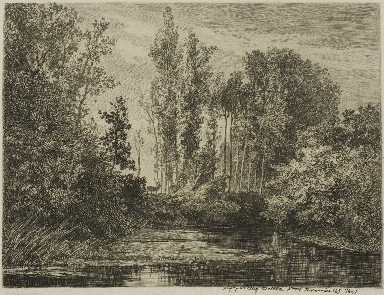 Cães à beira da água de Charles Francois Daubigny