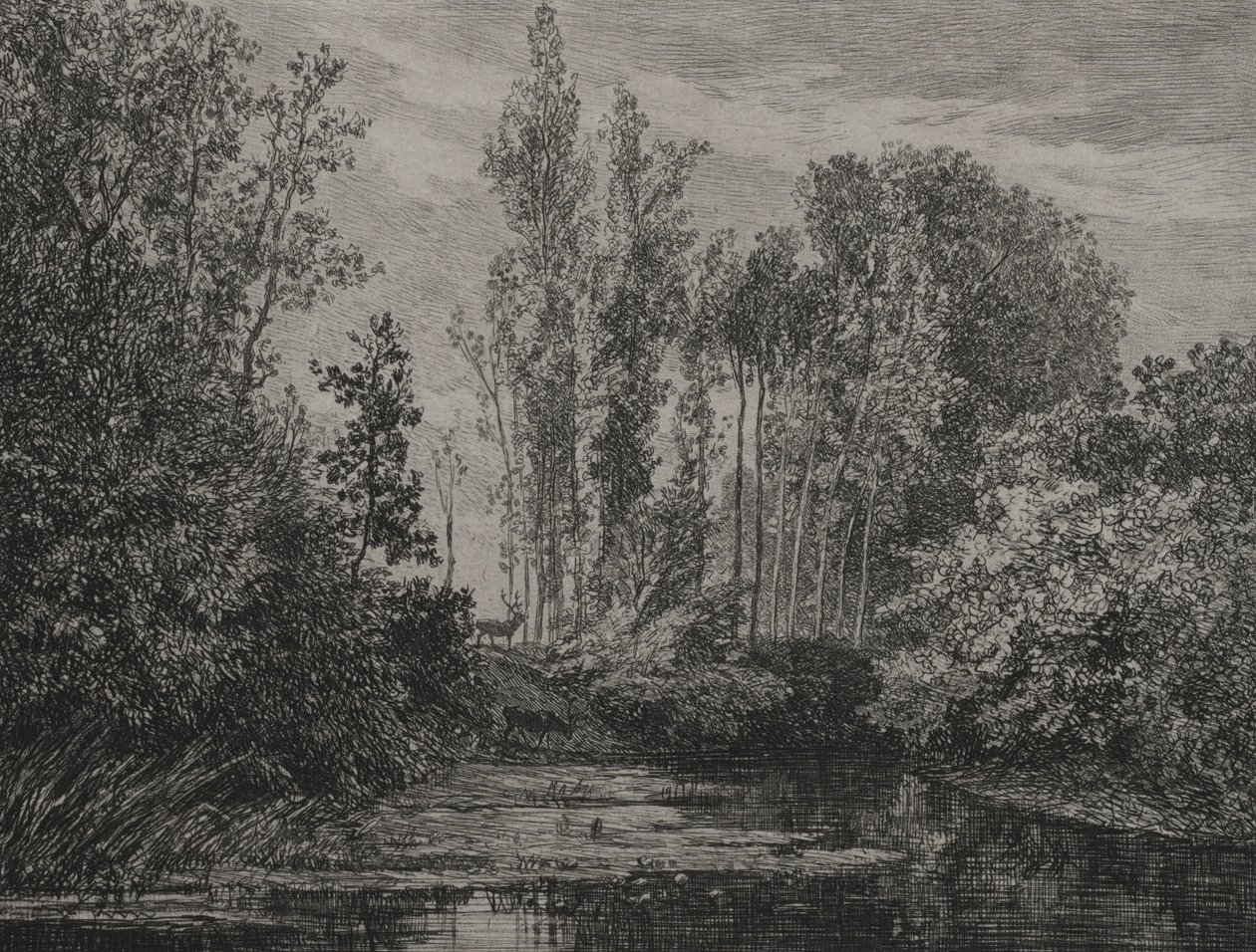 Veados à beira da água de Charles Francois Daubigny
