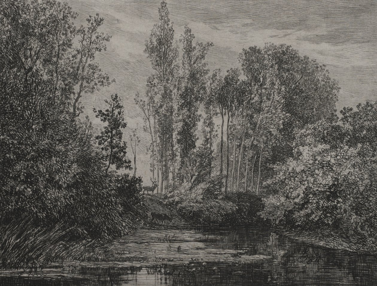 Veados à beira da água, 1850. de Charles Francois Daubigny