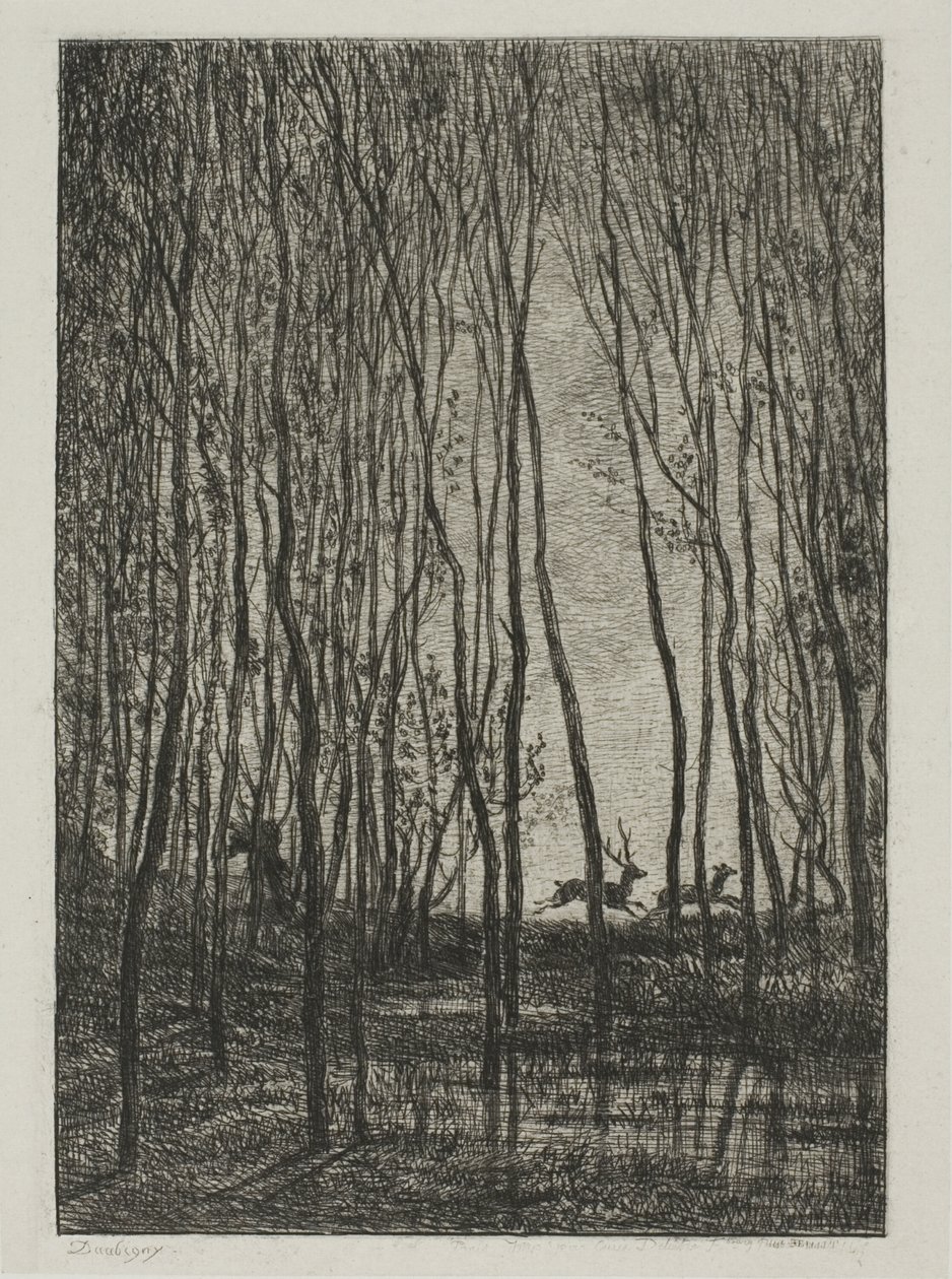 Veados na floresta de Charles Francois Daubigny