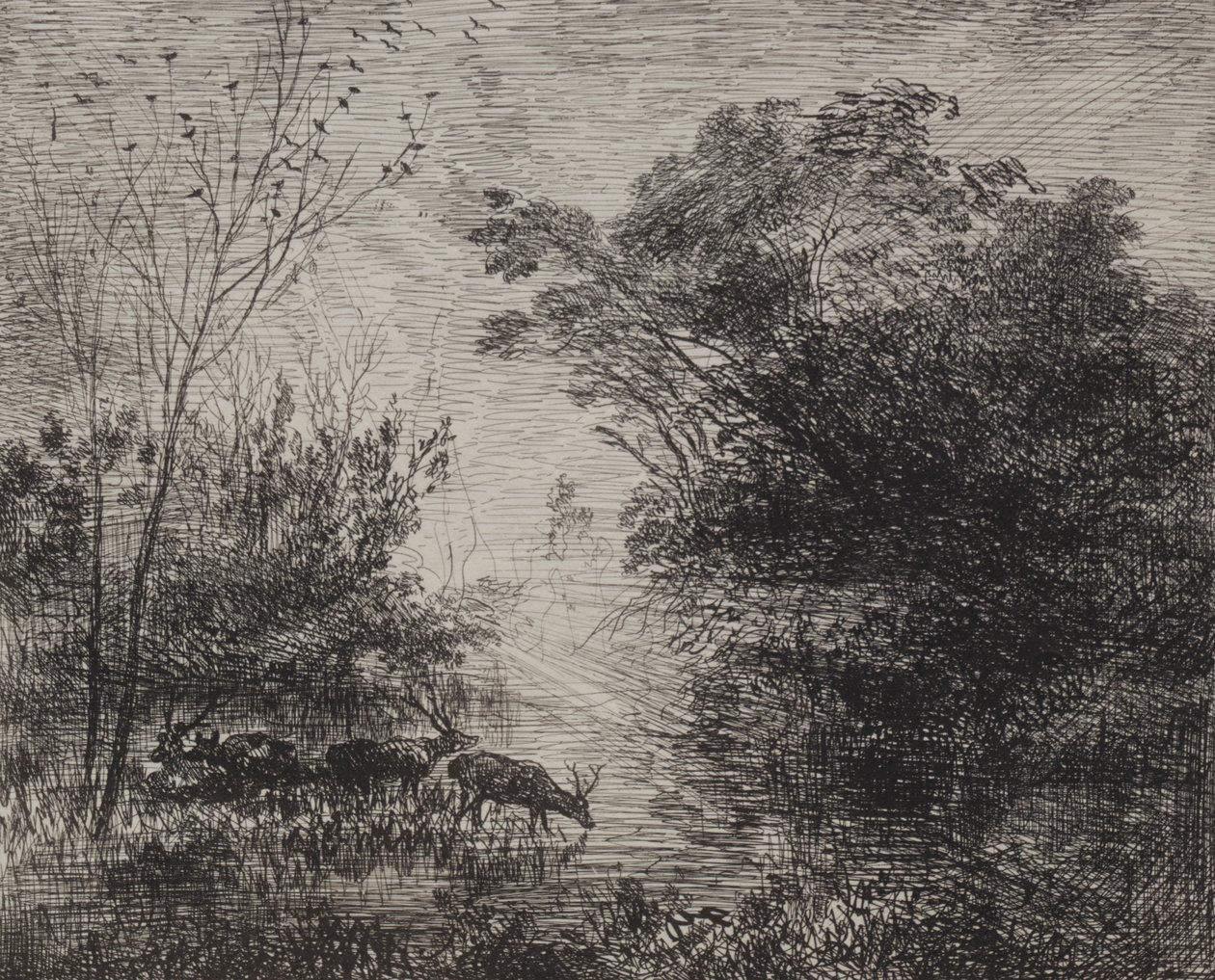 Veados, impressão original 1862, impressa em 1921. de Charles Francois Daubigny
