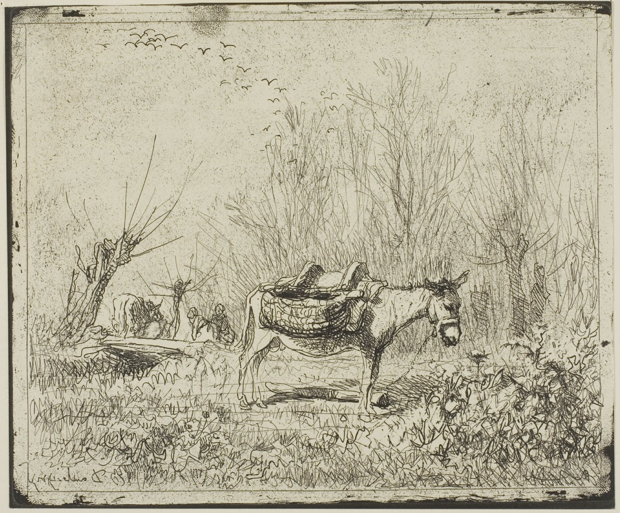 O burro no prado de Charles Francois Daubigny