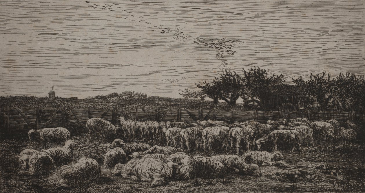 O grande rebanho de ovelhas, 1860. de Charles Francois Daubigny