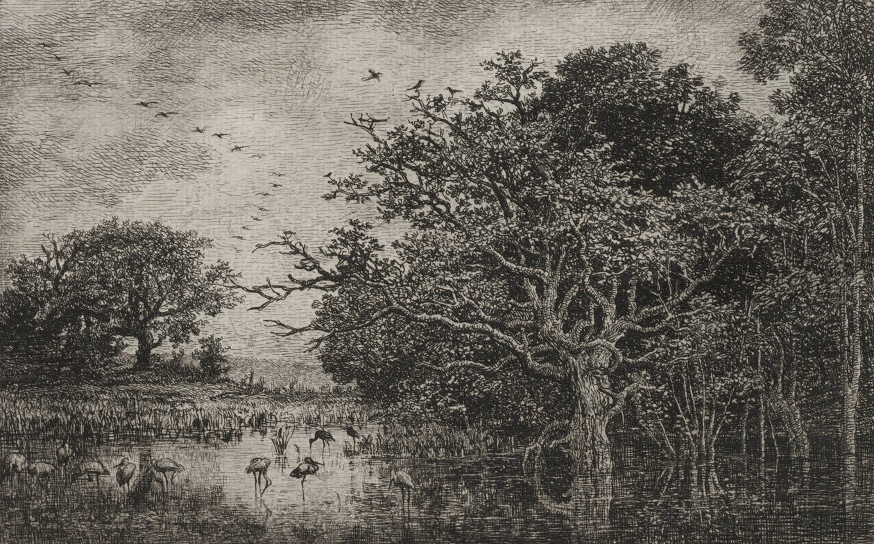 O pântano com cegonhas de Charles Francois Daubigny
