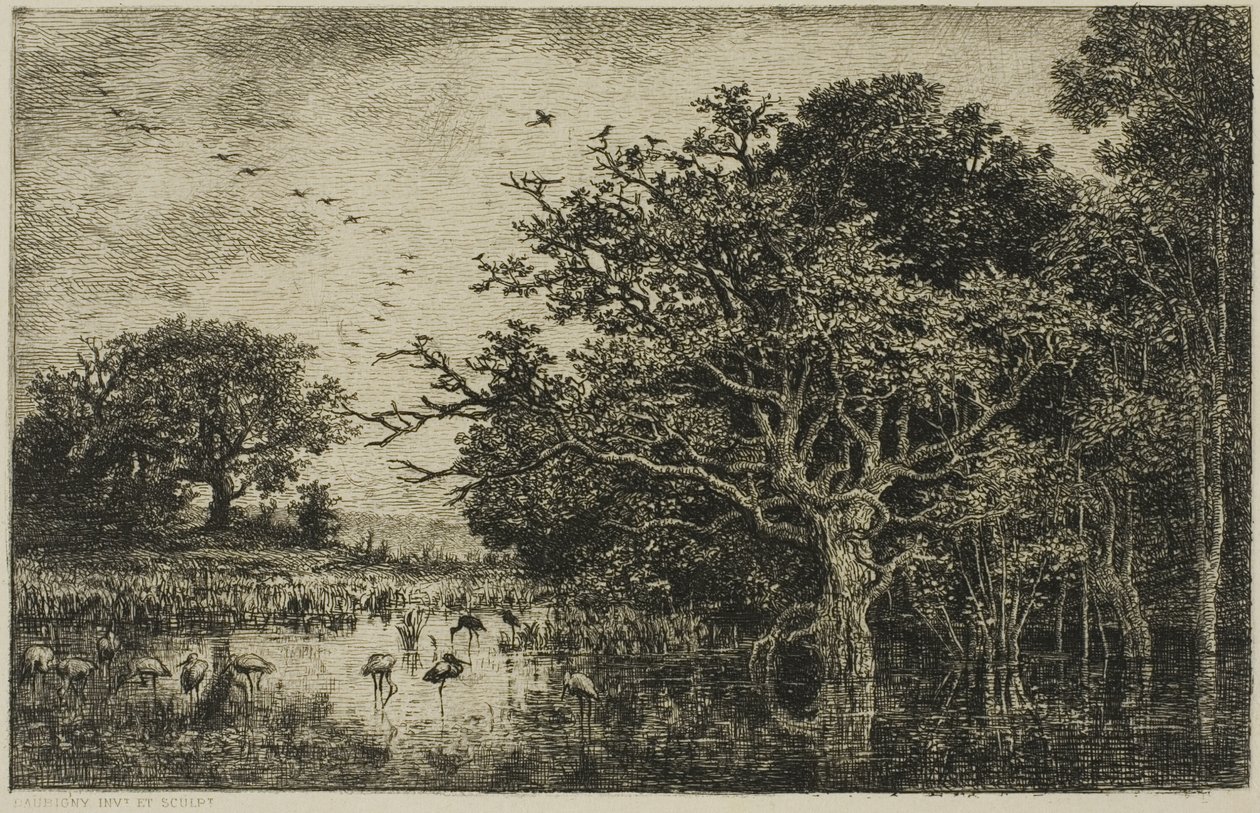 O pântano com cegonhas de Charles Francois Daubigny