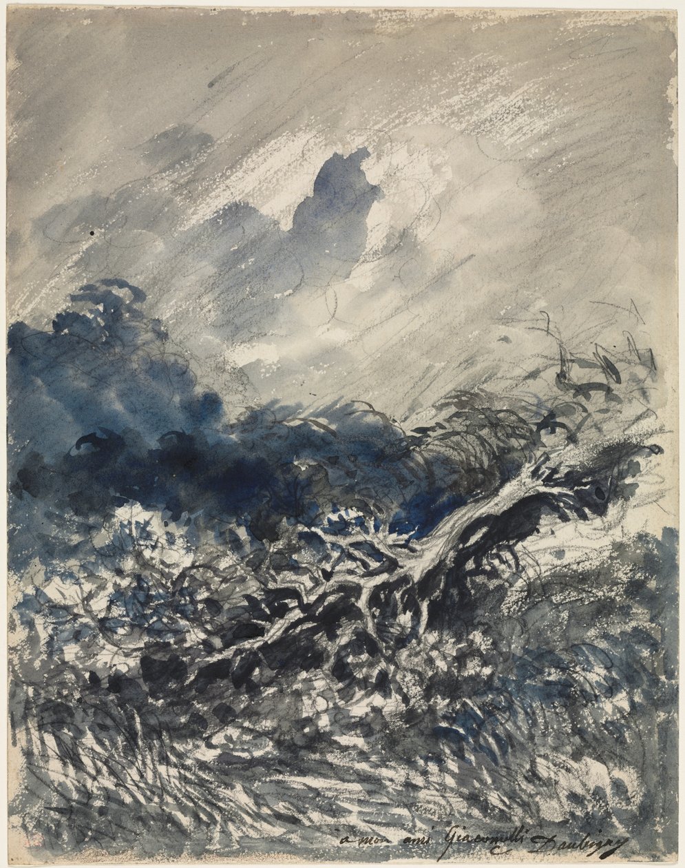 The Oak Tree and the Reed, c. 1873 (blue and black wash) de Charles Francois Daubigny