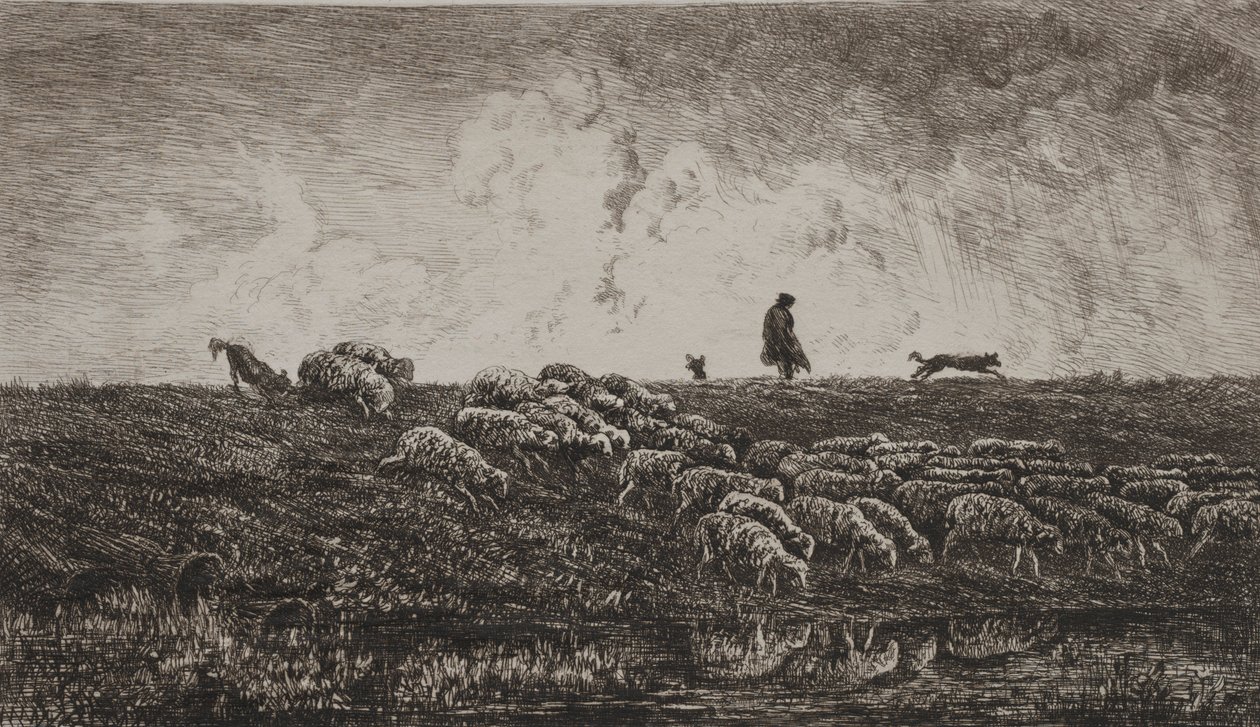 O chuveiro, c. 1851 de Charles Francois Daubigny
