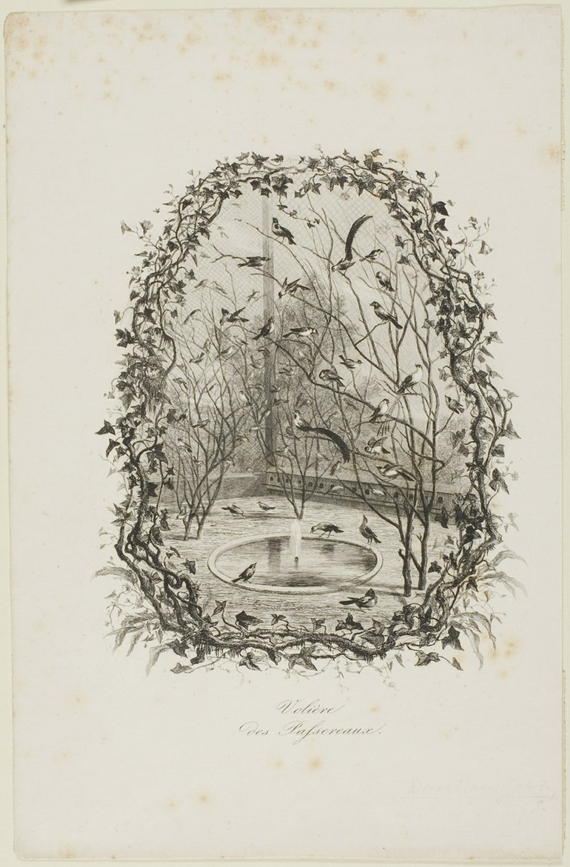 O aviário do pardal de Charles Francois Daubigny