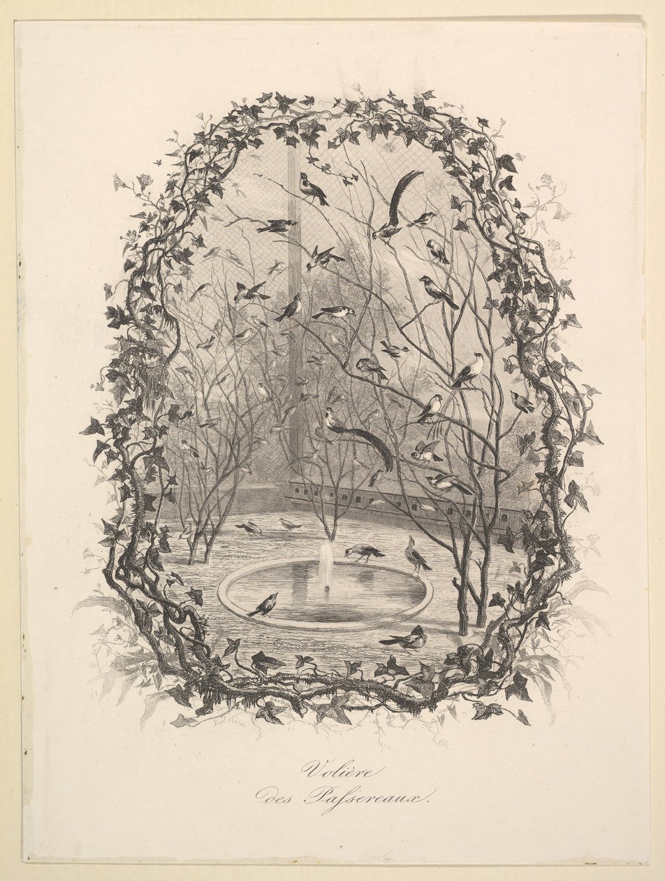 O aviário do pardal, 1843. de Charles Francois Daubigny