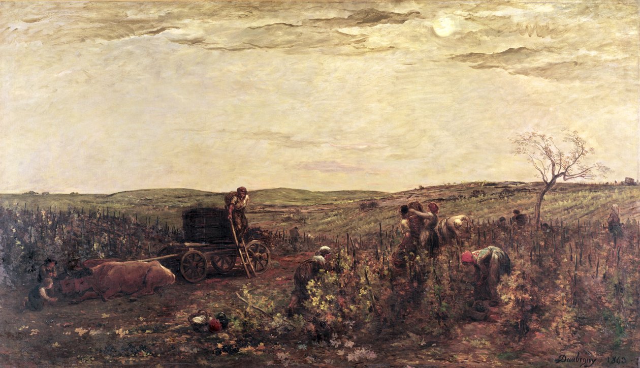 A colheita do vinho na Borgonha, 1863 de Charles Francois Daubigny