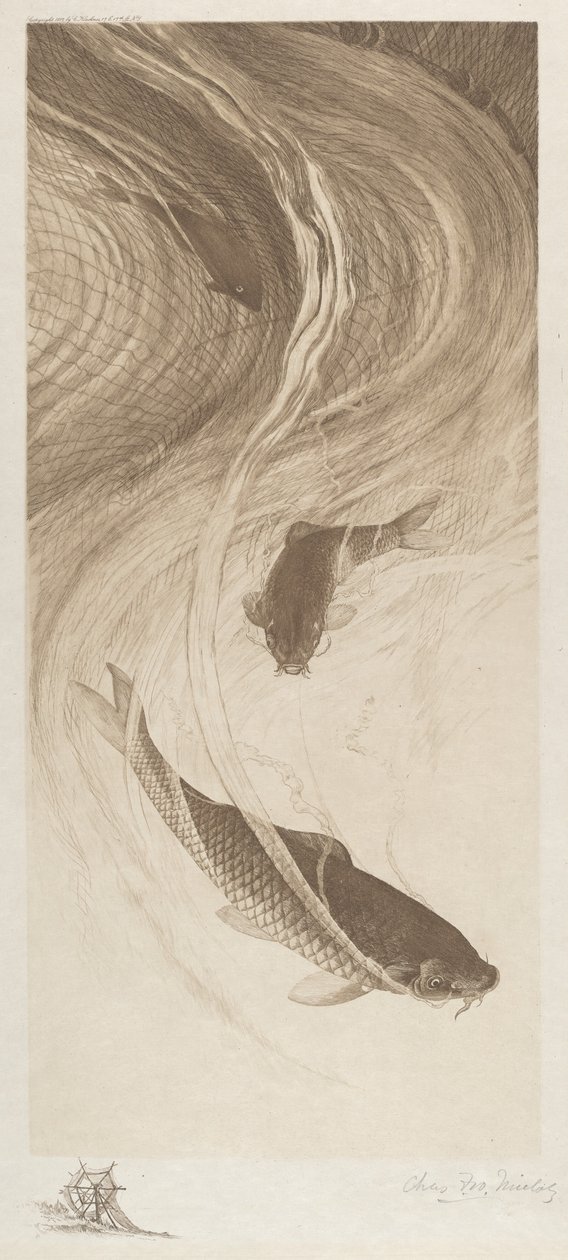 Nas malhas de Charles Frederick William Mielatz