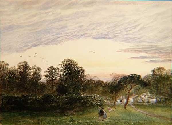 Em Bannisters Wood, Southampton de Charles Frederick Williams