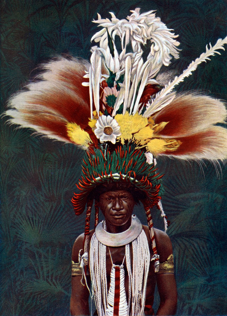 Um chefe de Roro vestido para uma dança cerimonial, Papua Nova Guiné, 1920. de Charles Gabriel Seligman