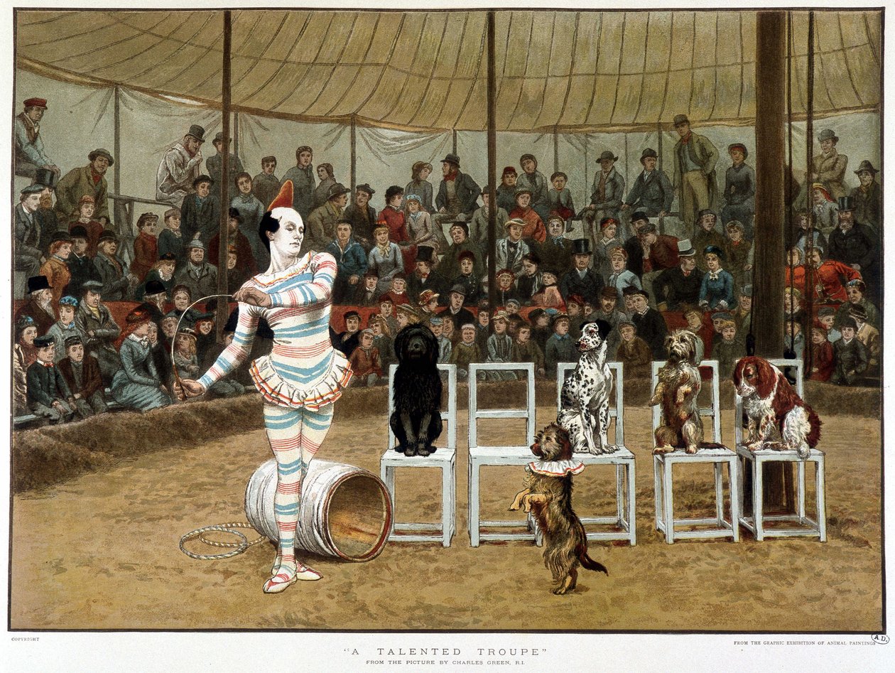 Os cães aprendidos: cena de circo com palhaços e cães - depois de Charles Green, cromo inglês de 1885. ¿Os cães aprendidos: cena de circo com palhaço e cães - depois de Charles Green, cromo inglês de 1885. ¿ de Charles Green