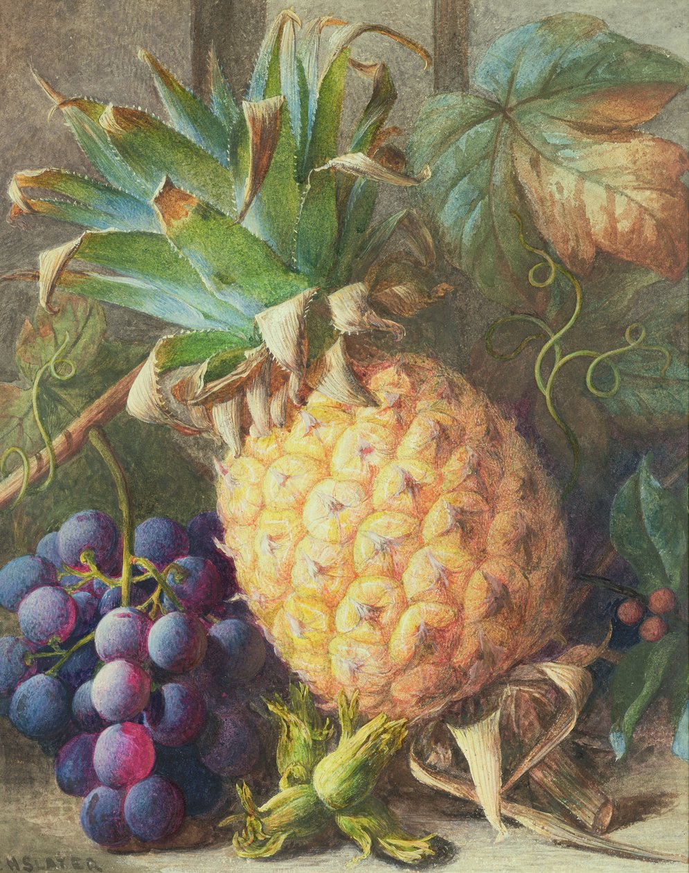 Ainda vida de um abacaxi e uvas de Charles H. Slater