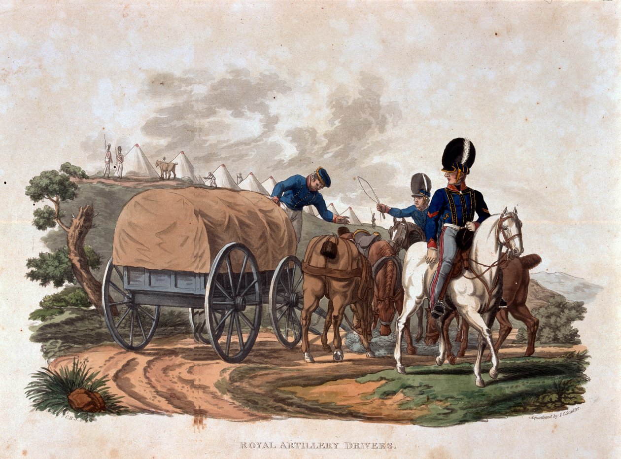 Condutores de artilharia reais, de &39;trajes do exército do Império Britânico, de acordo com as últimas regulamentações 1812&39;, gravados por JC Stadler, publicado pela Colnaghi und Co. 1812-15 (aquatinta colorida) de Charles Hamilton Smith