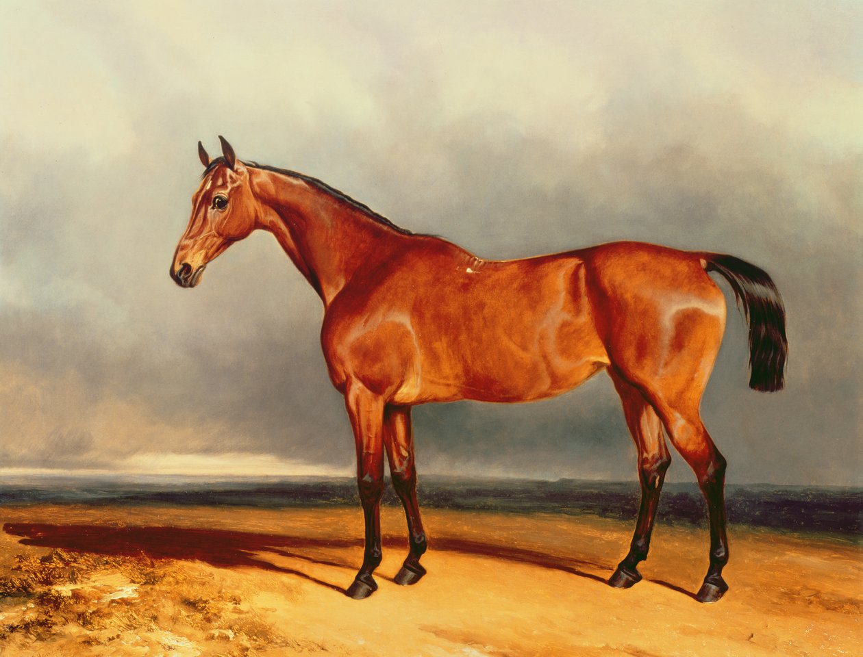 The Bay Hunter de Charles Hancock