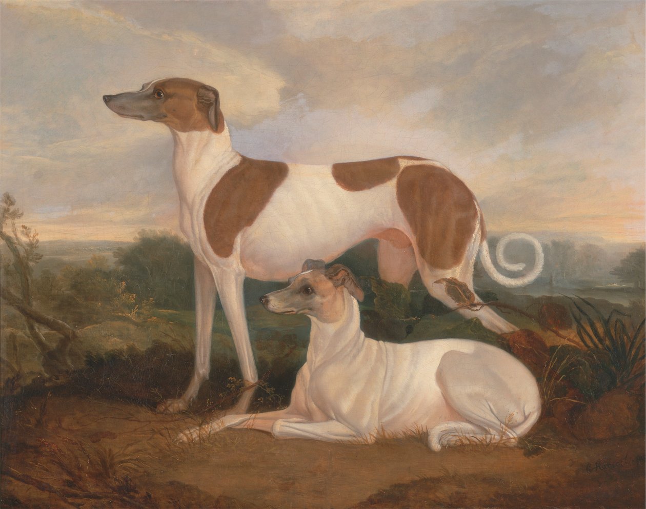 Dois Greyhounds numa Paisagem de Charles Hancock